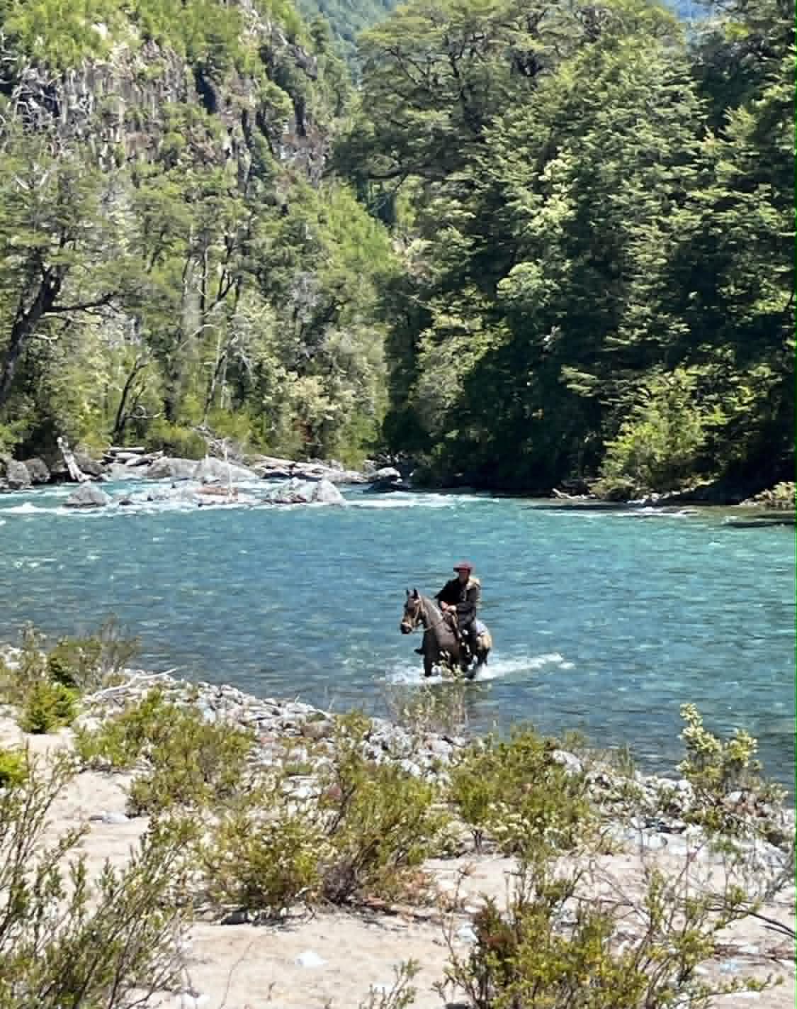 Patagonia